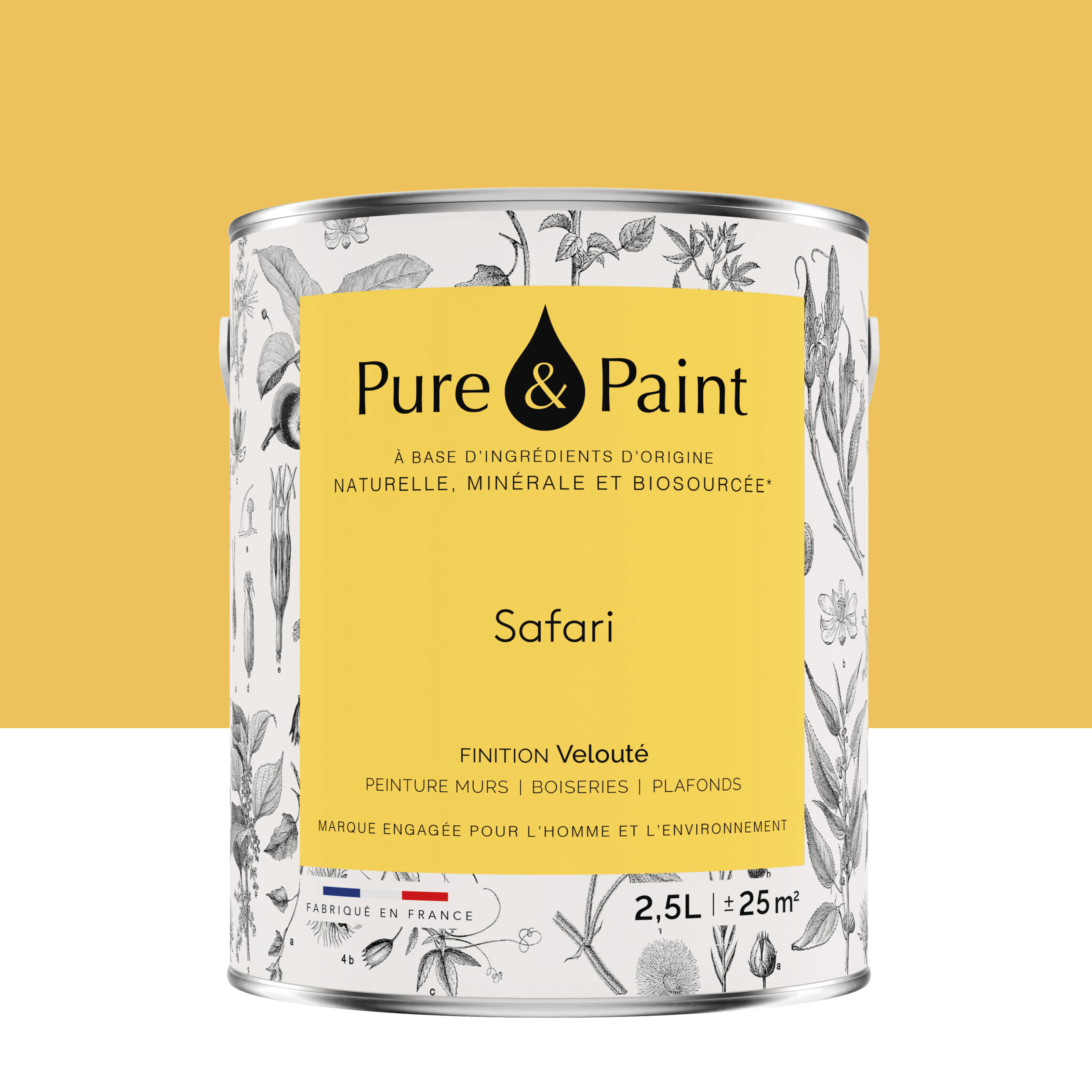 Peinture mur et plafond safari velours PURE & PAINT , 2.5l Leroy Merlin