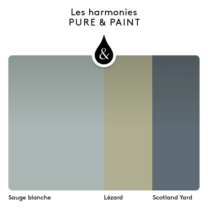 Testeur peinture mur, boiserie, plafond sauge blanche velours PURE