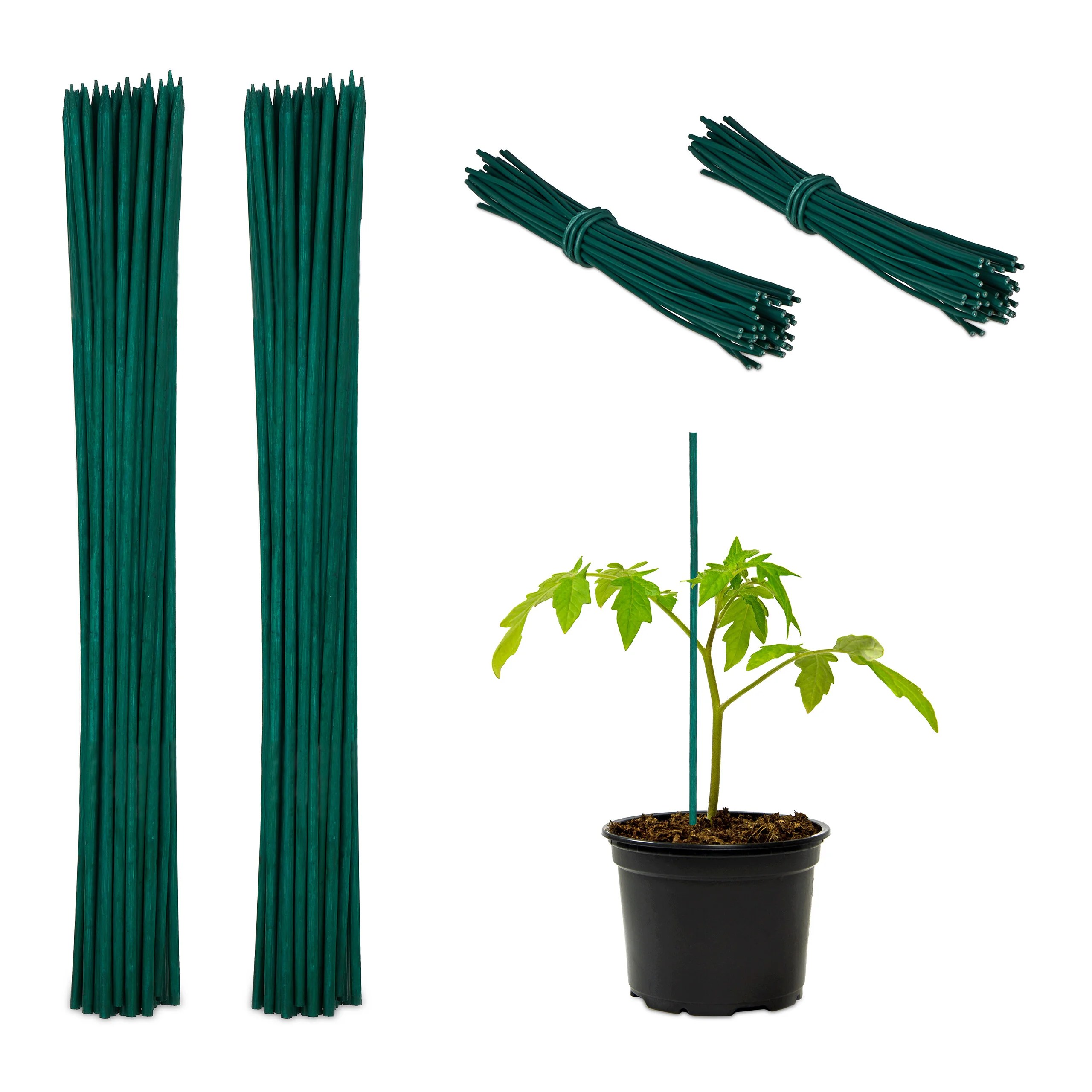 100 Cañas Bambú, 30x0,5 cm, Soporte para Plantas, Alambre de Sujeción