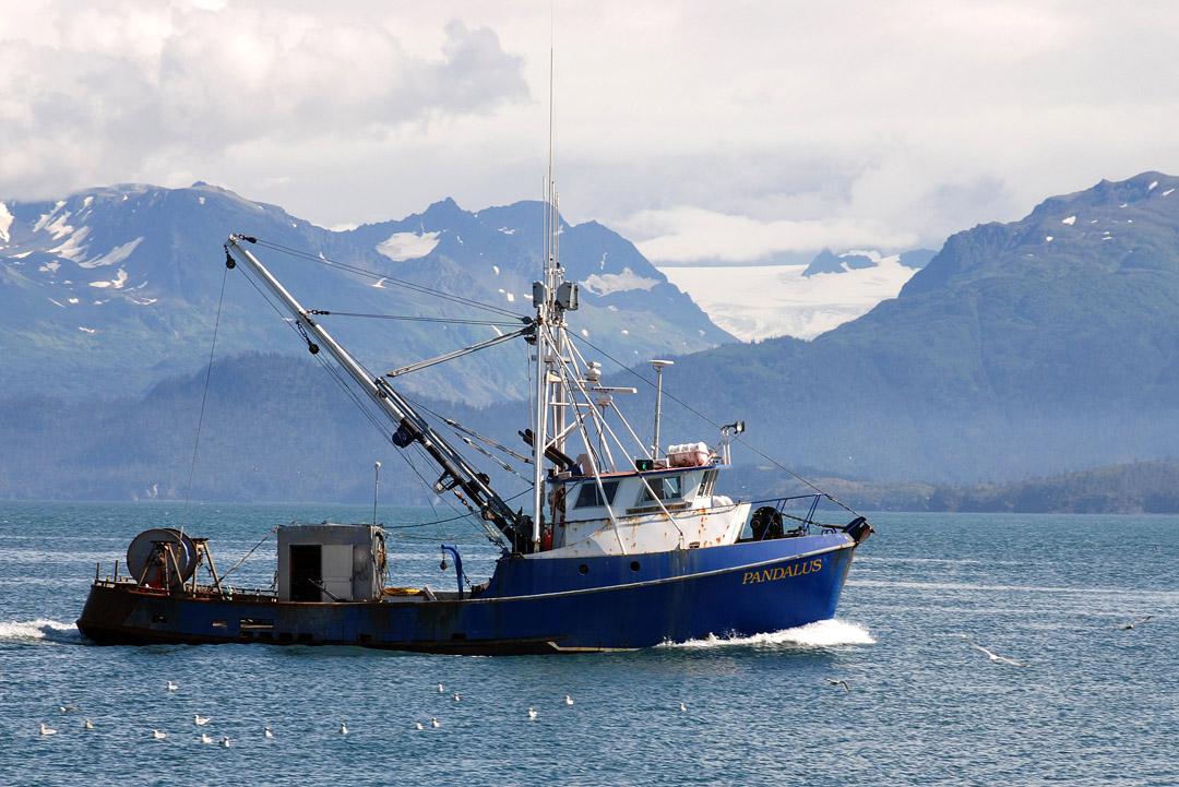 In victory for commercial fishermen, court orders Cook Inlet fishery to