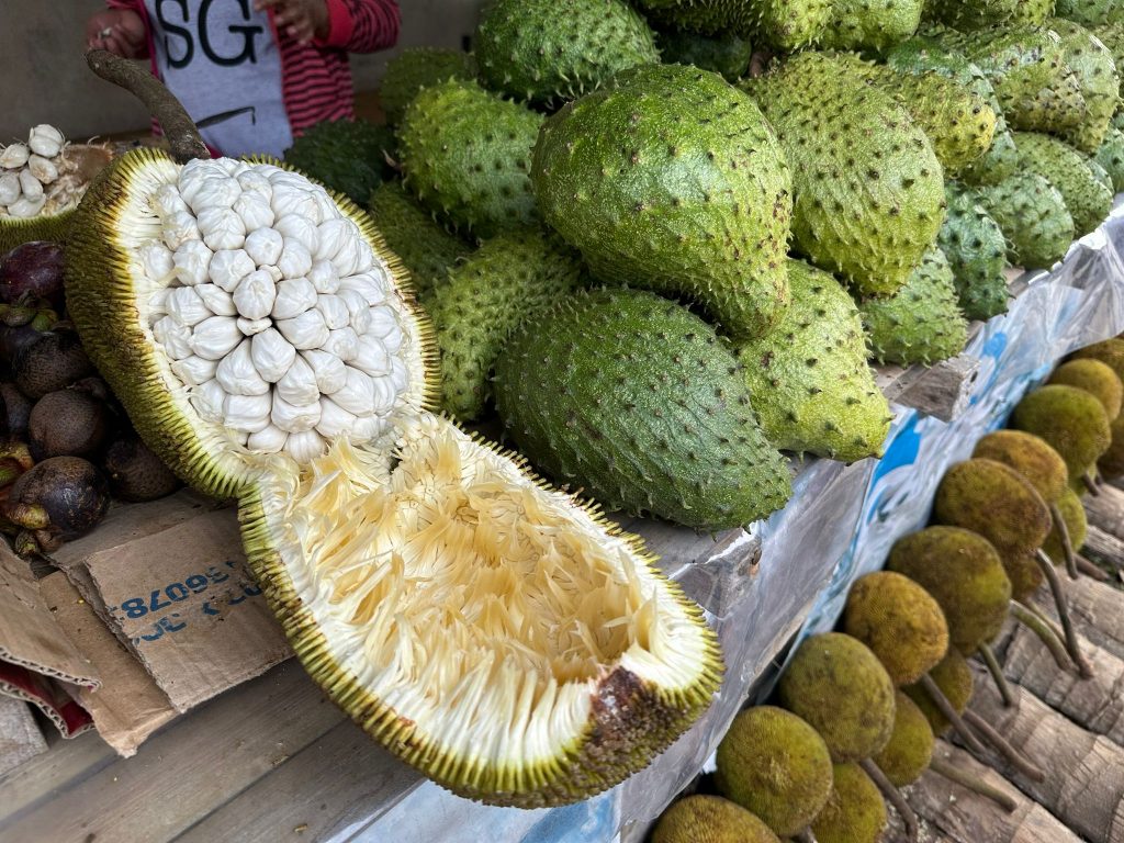 Davao, Philippines: 6 Reasons to Visit this Under-the-Radar and Budget-Friendly Destination! Davao, Philippines: 6 Reasons to Visit this Under-the-Radar and Budget-Friendly Destination! - Alvinology