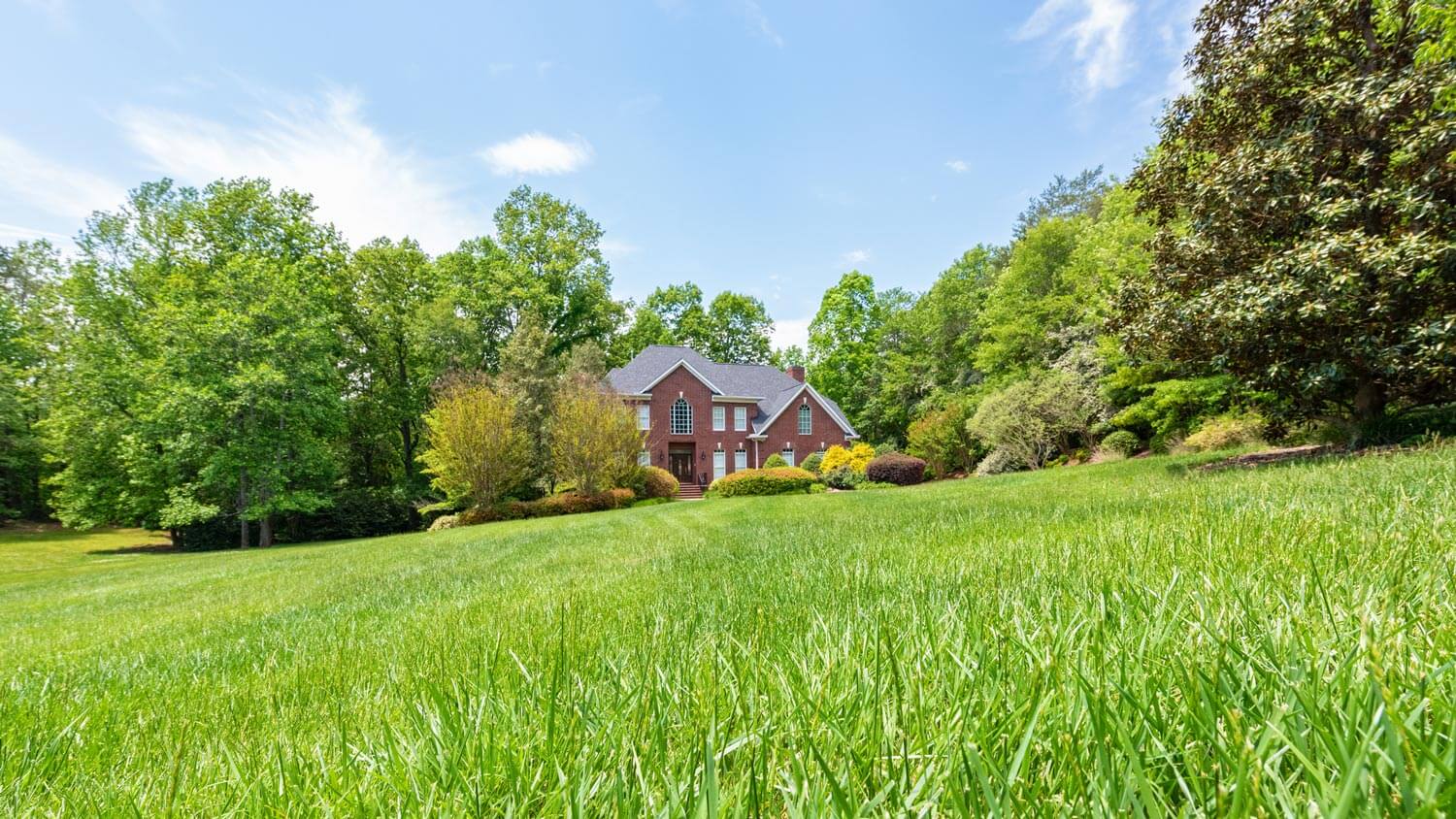 Fescue vs Bermuda Which Is Best for Your Lawn?