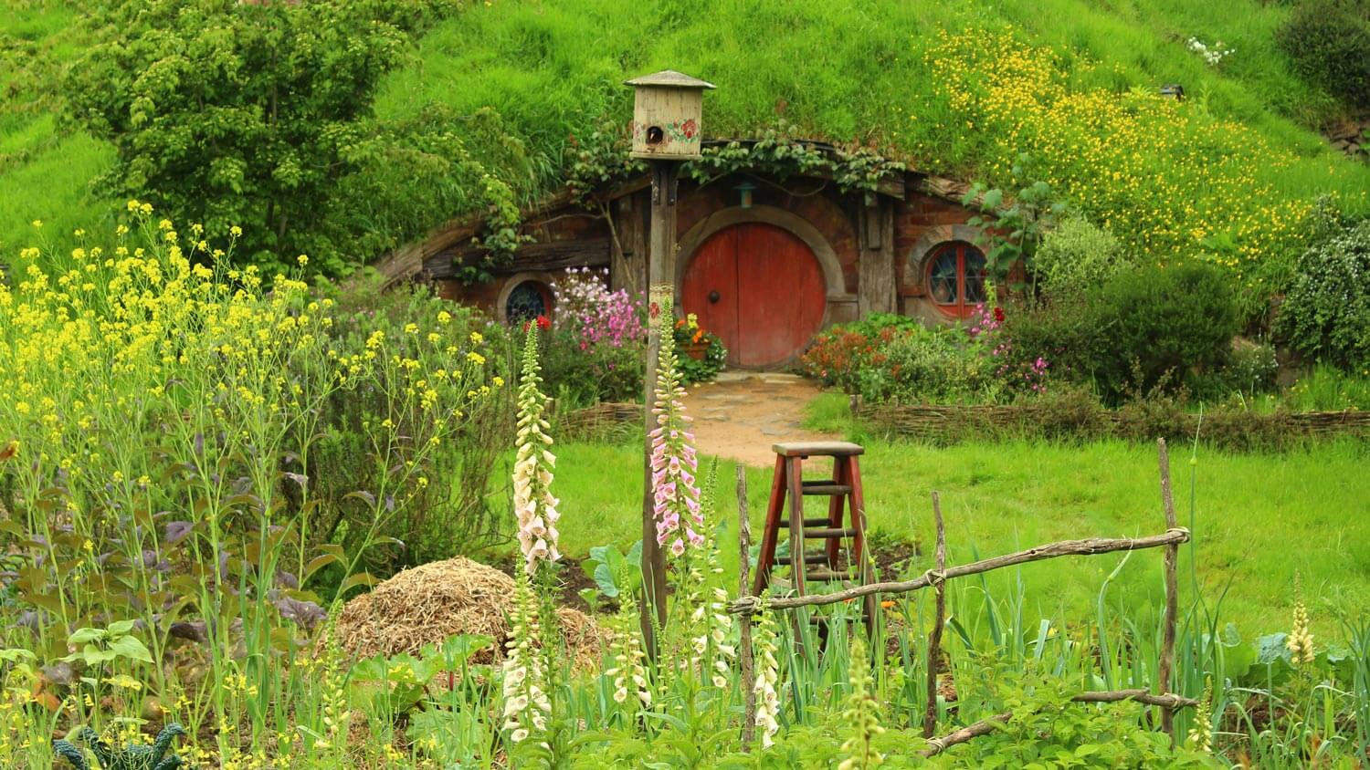 Building a Hobbit House for Under 5,000