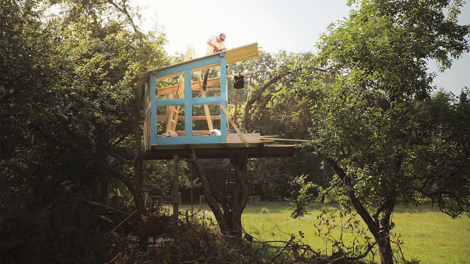 How Much Does a Treehouse Cost to Build? Angi
