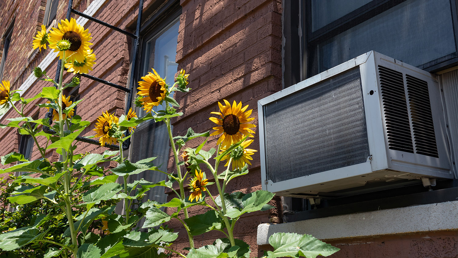 When Is the Best Time To Buy an Air Conditioner?