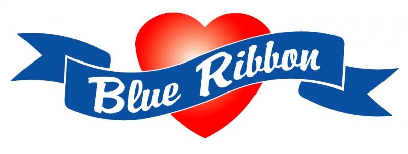 AmeriCo Carriers Dedicated Lane Home Weekly CDL A Owner