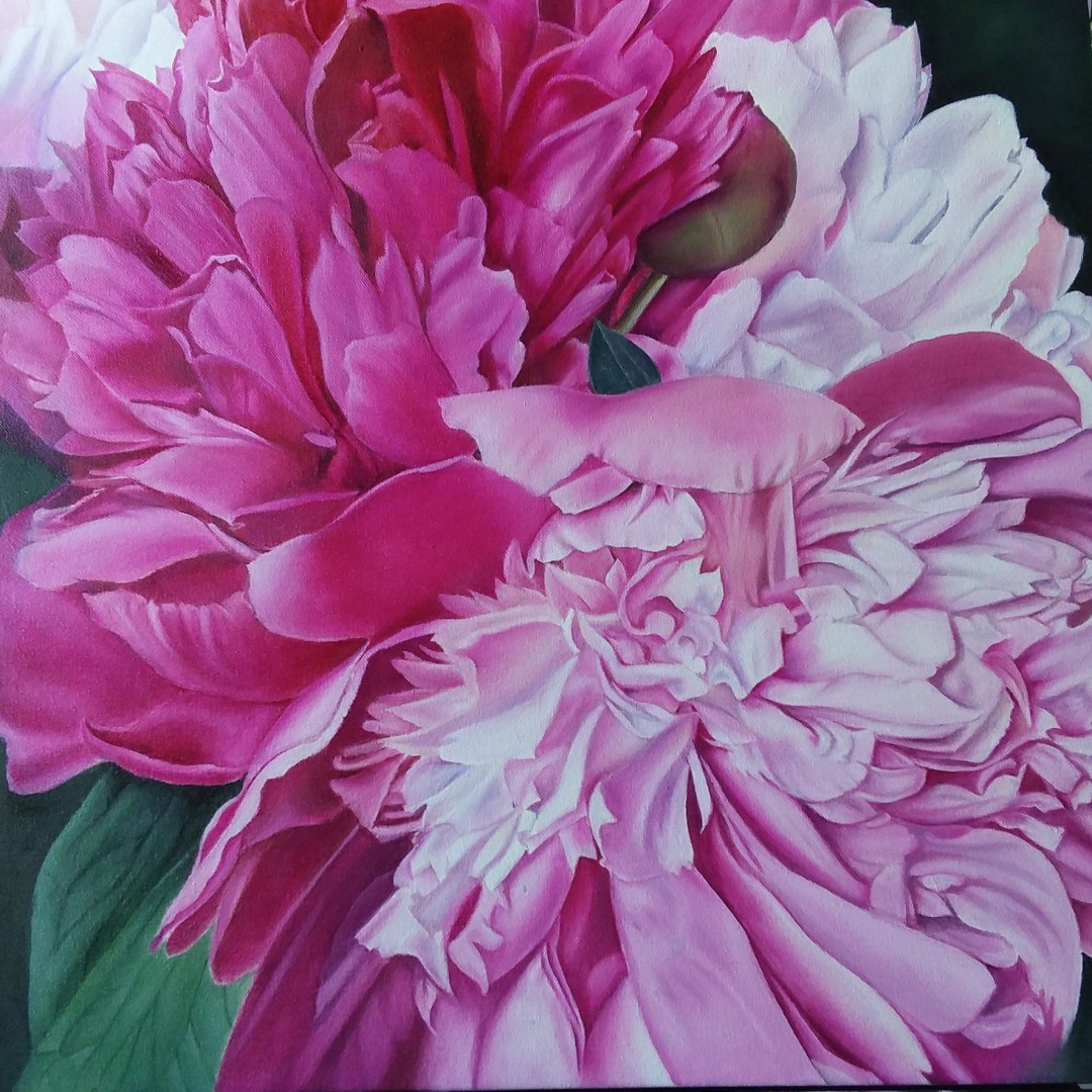 Pink Peony by Diana Turner February 13th Annual PleinAir Salon