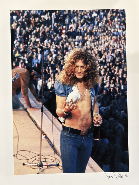 Robert Plant Dove Shot par James Fortune, 1973 Photographie Artsper