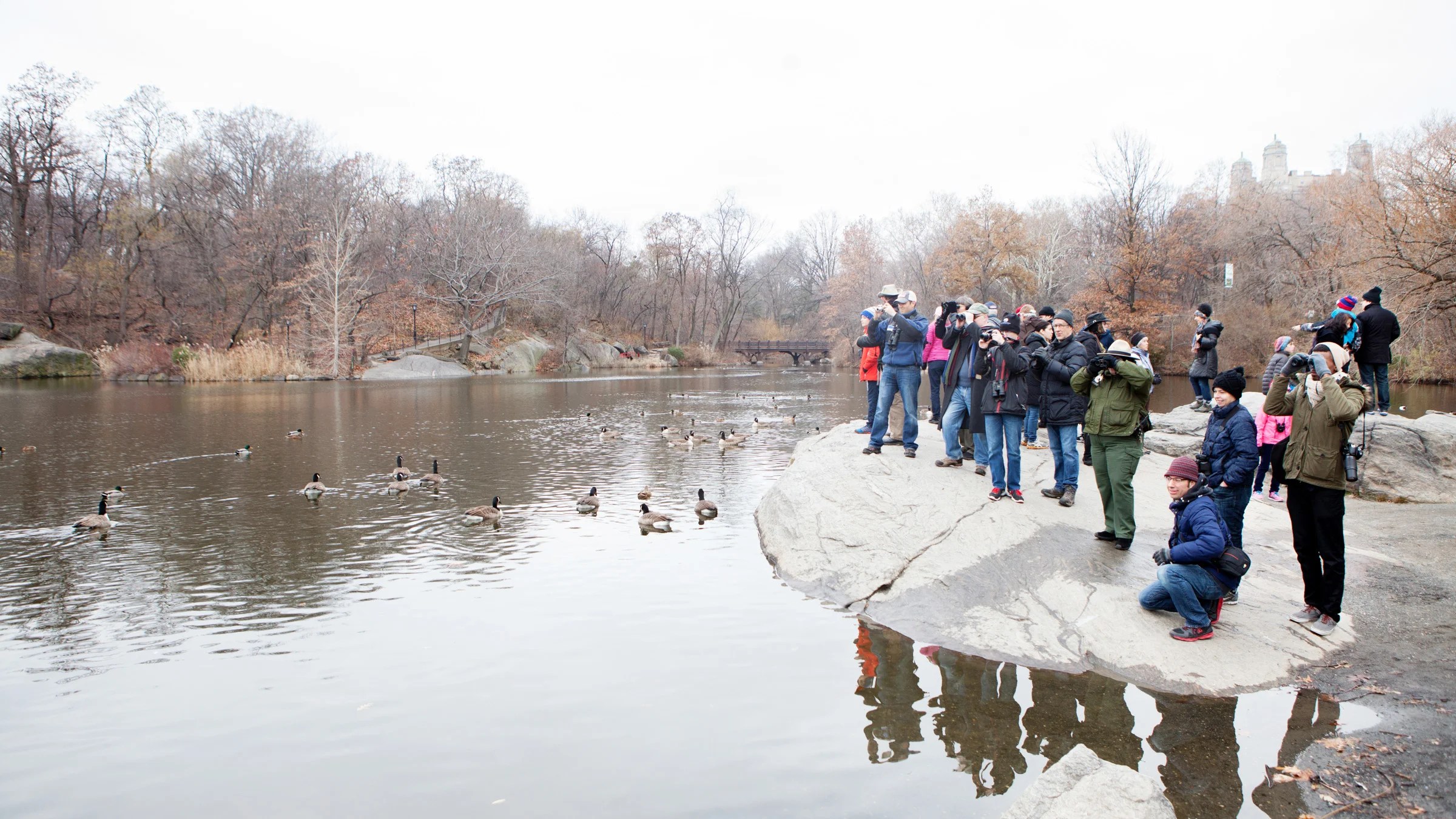 Audubon Christmas Bird Count 2024 Vikki Jerrilee