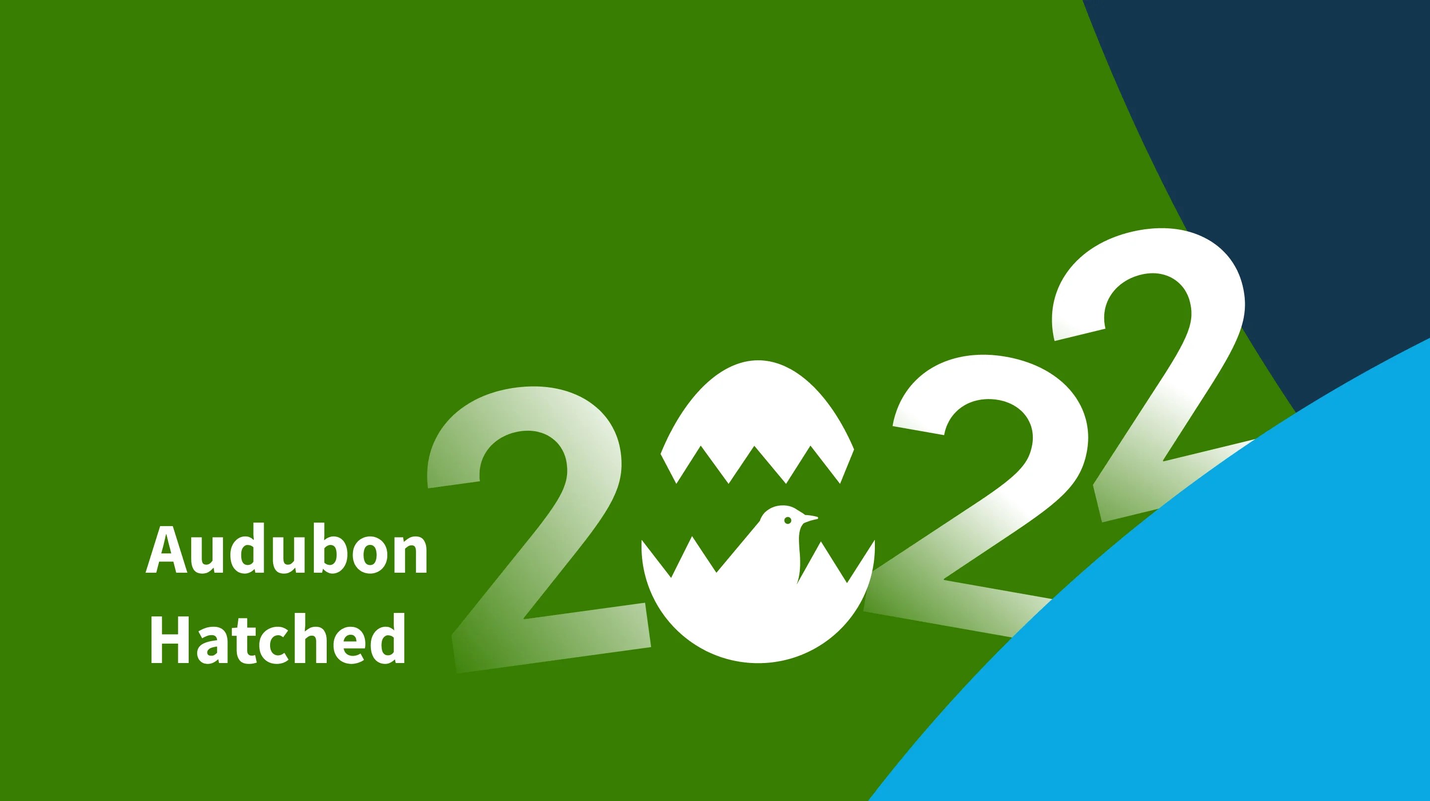 Introducing Audubon Hatched Your Year of Birding in Review Audubon