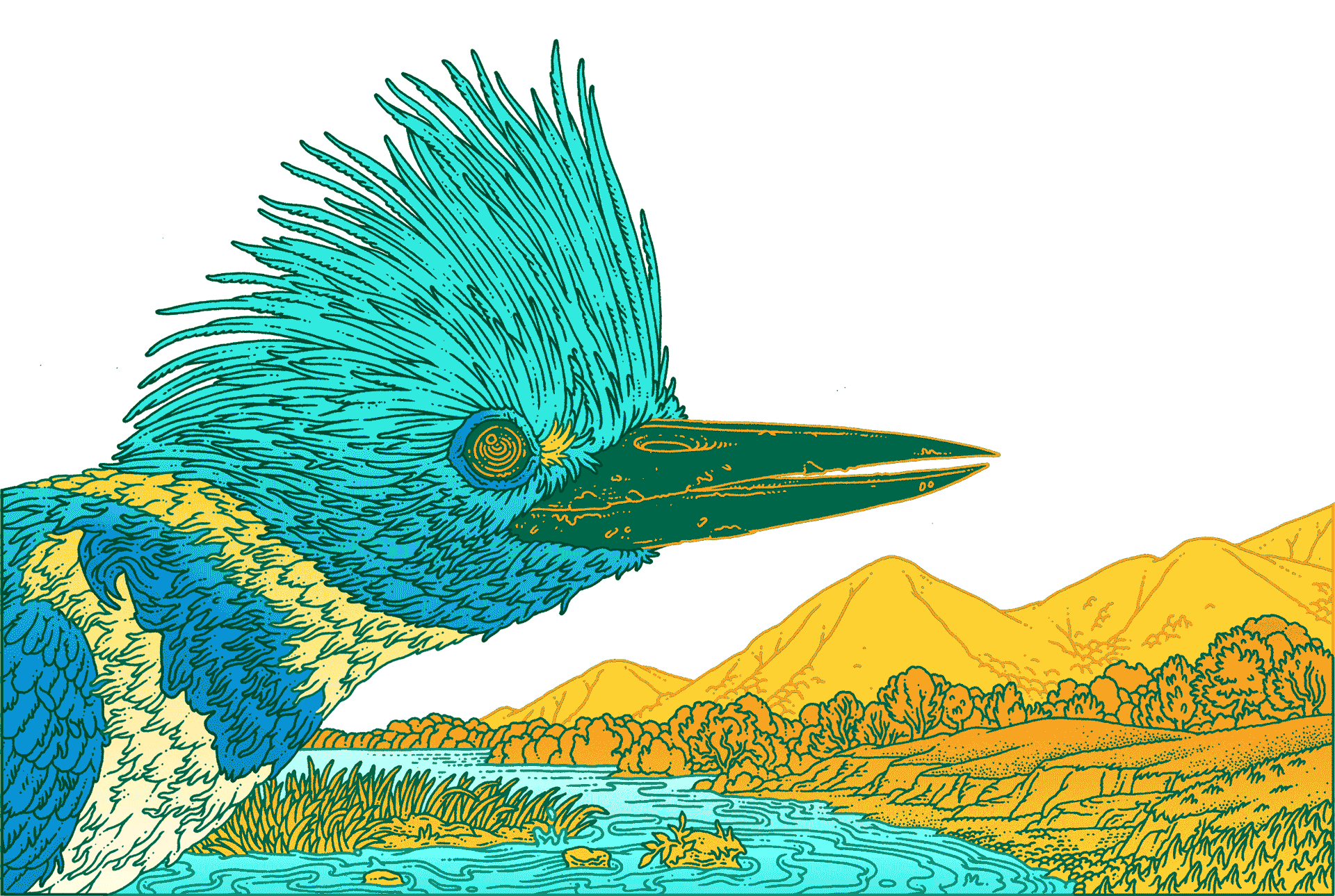 By Design An Update on Audubon Magazine Audubon