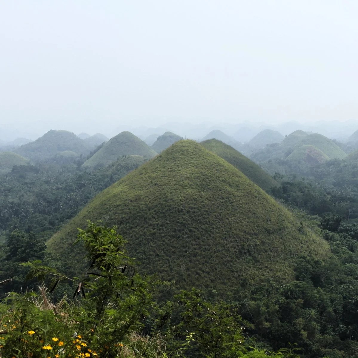 Day 297 Chocolate Hills of Bohol Audubon