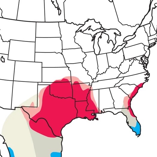 Painted Bunting Audubon Field Guide