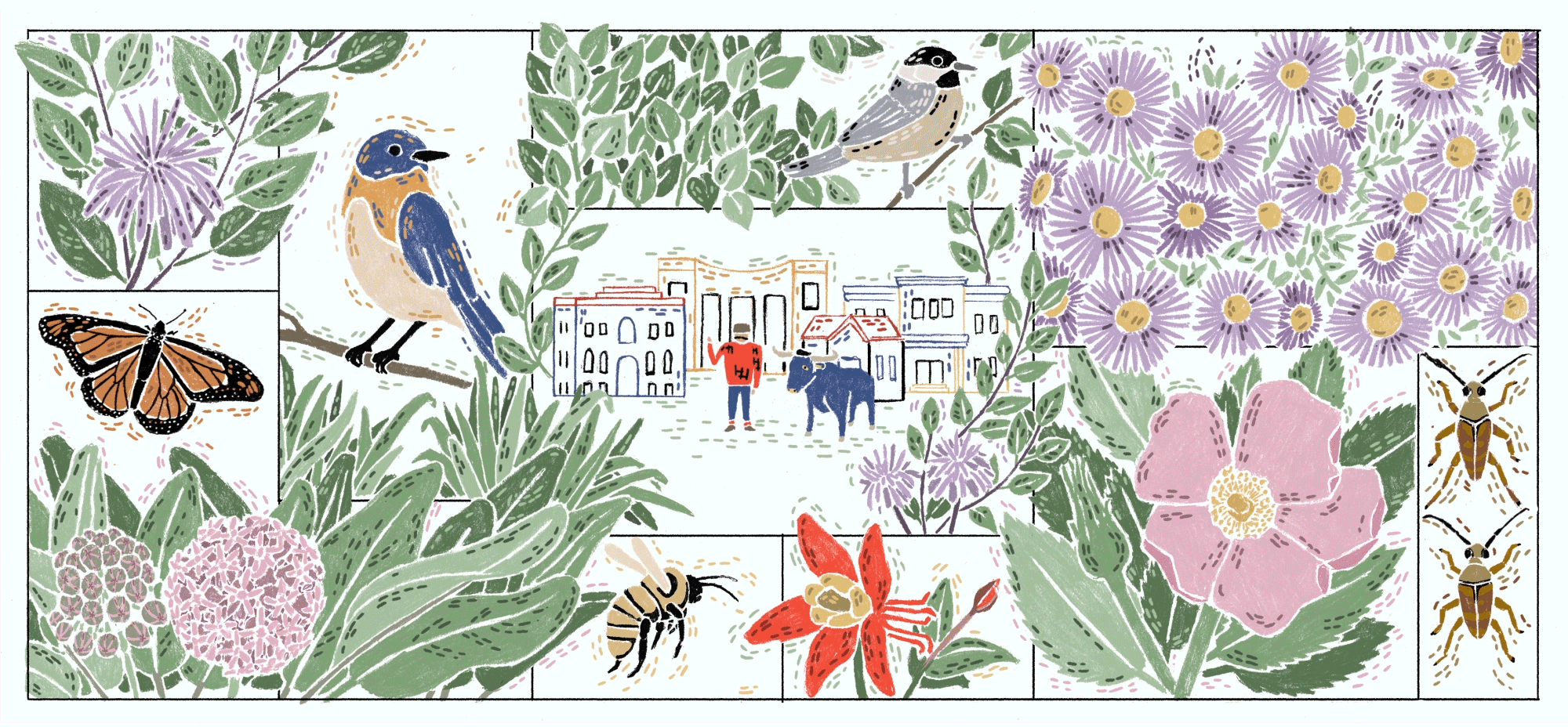 A Native Plants Movement Blooms in Bemidji Audubon