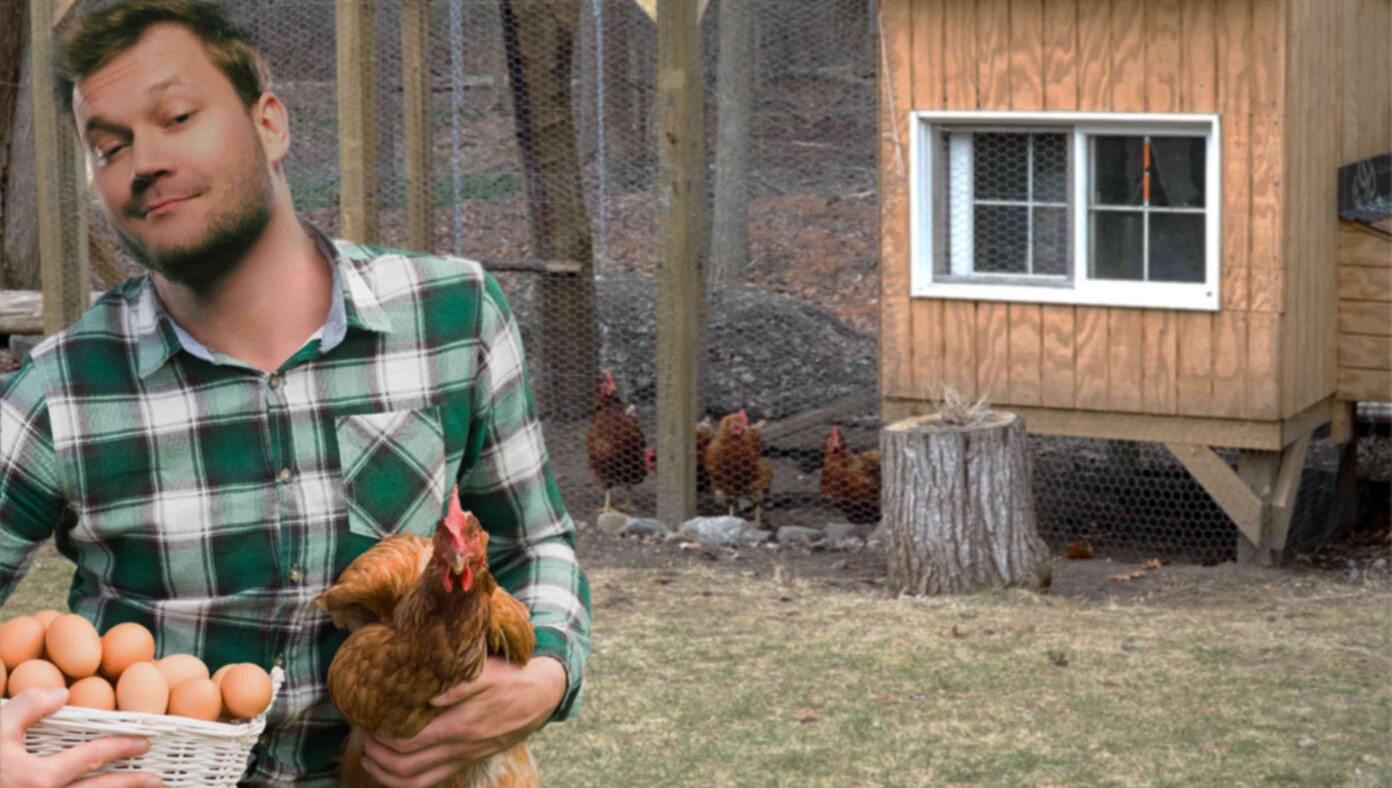 Man Everyone Mocked For Raising Chickens Gets Last Laugh Babylon Bee