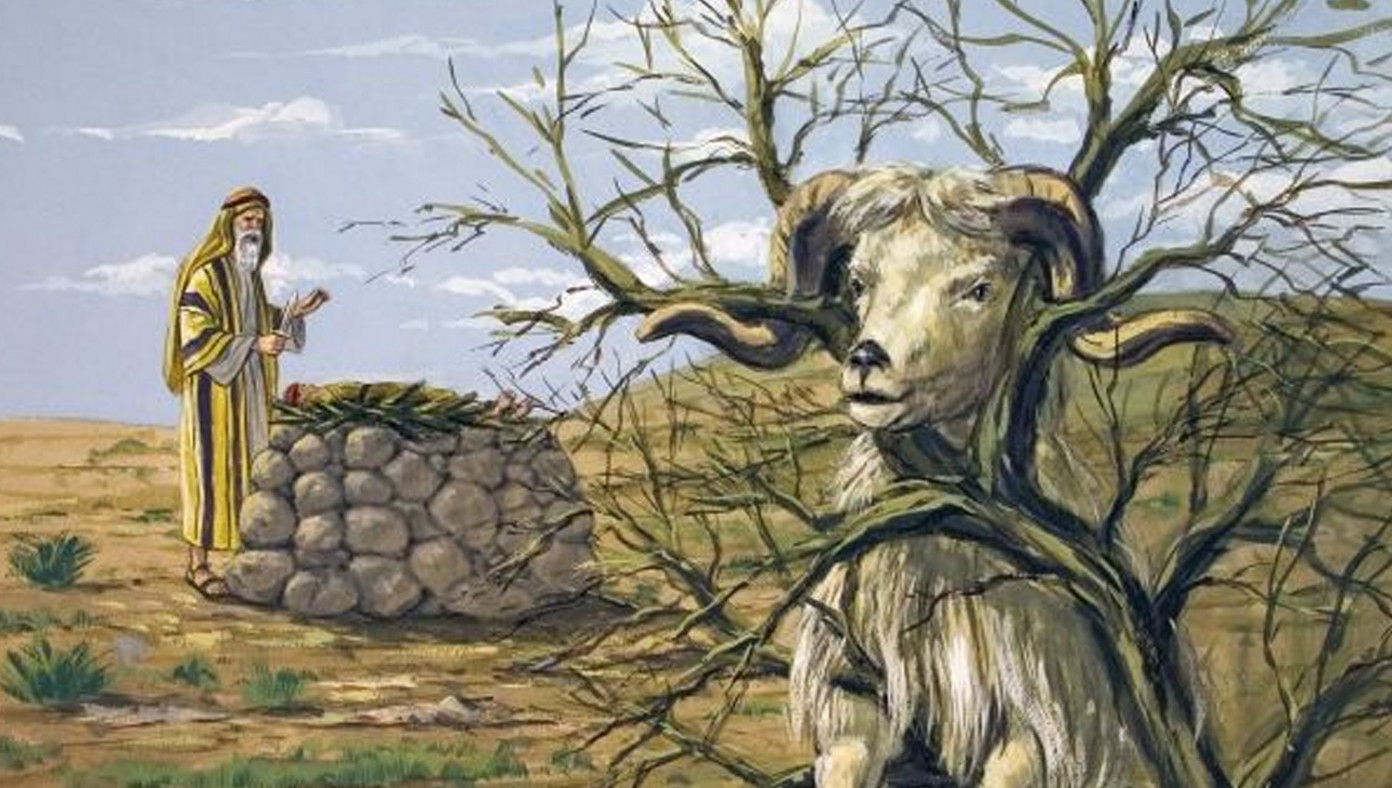 The Babylon Bee Telegram