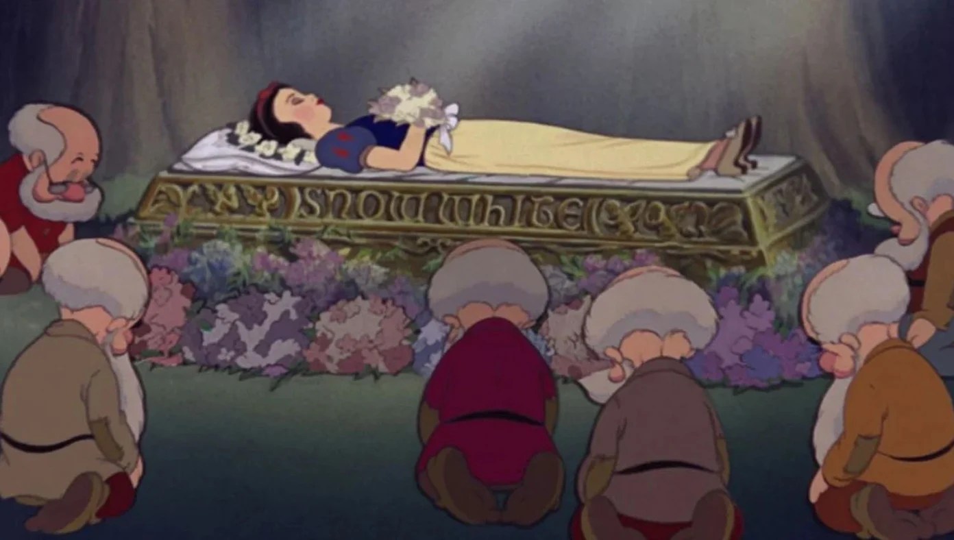 Prince Charming Snow White Kiss