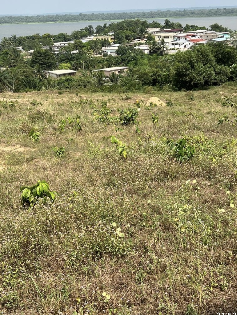 Terrain de 500m2 à vendre à Bingerville BazarAfrique Côte d’Ivoire
