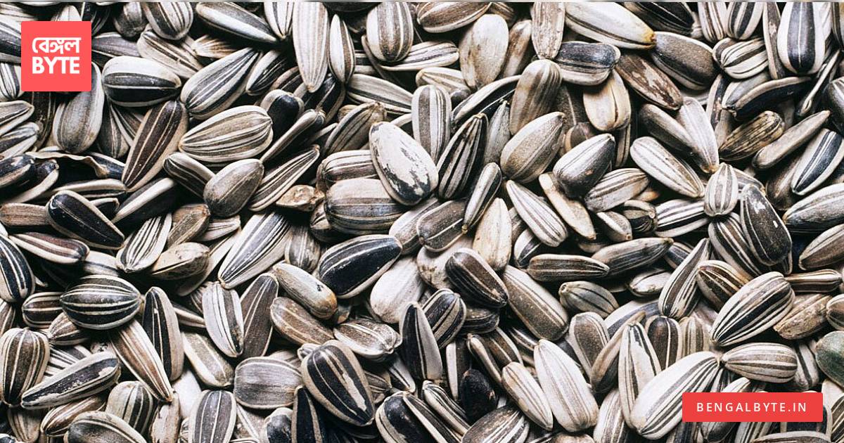 সূর্যমুখী বীজের স্বাস্থ্য উপযোগিতা Health Benefits of Sunflower Seeds