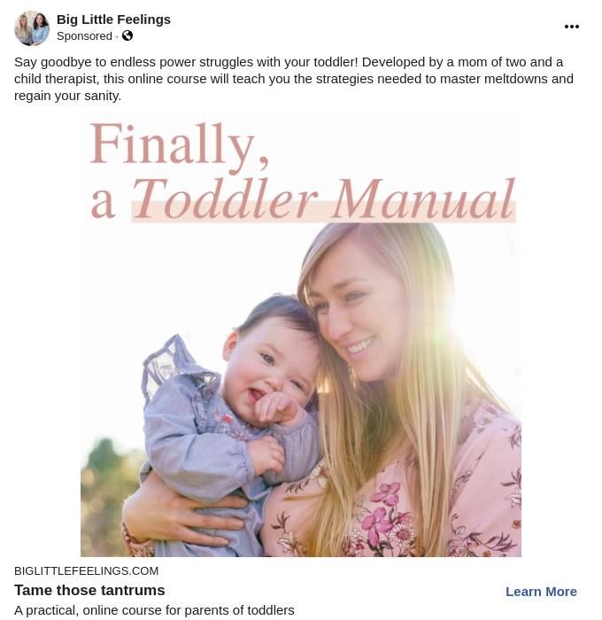 Big Little Feelings Online Parenting Courses Big Little Feelings