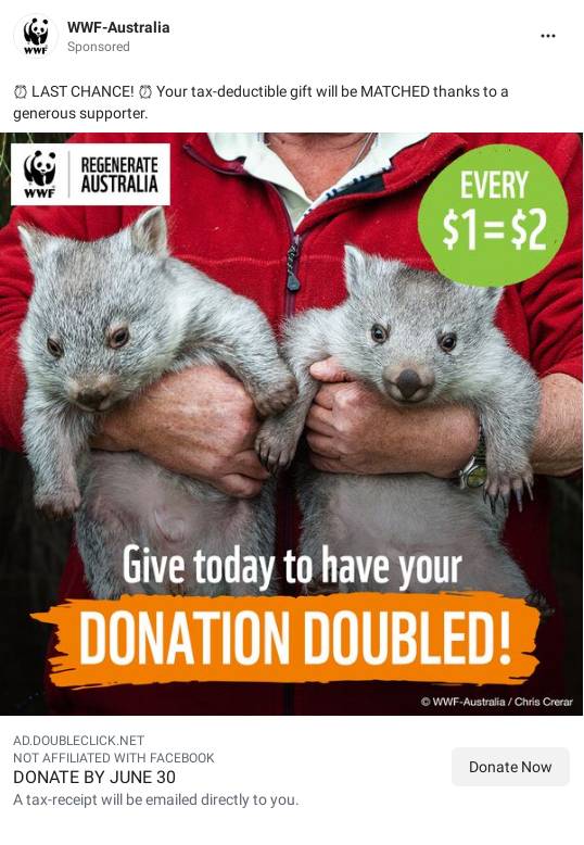 Wildlife Crisis Appeal WWFAustralia Charity donations and appeals WWF Australia Ad Bigdatr