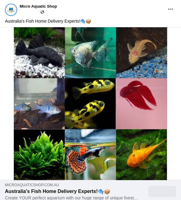 Aquarium Supplies Online Australia Micro Aquatic Shop Ad Bigdatr