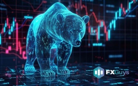 Toncoin and Chainlink Fall Short as FX Guys Presale Breaks M in Presale