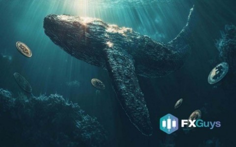 Les baleines Pepe déclenchent la montée fxguys de la montée fxguys – est-ce le 100x prochain? Les baleines Pepe déclenchent la montée fxguys de la montée fxguys – est-ce le 100x prochain?