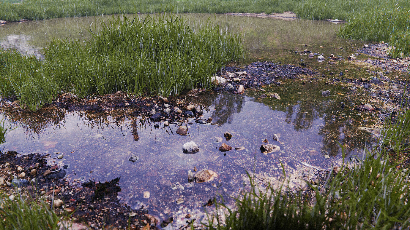 Realistic Pond Finished Projects Blender Artists Community