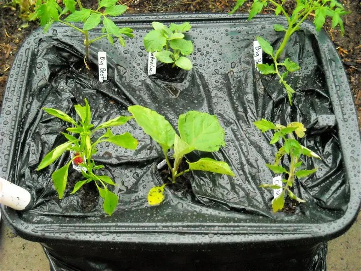 DIY Grow Box 25 Ideas with Pictures Blitsy