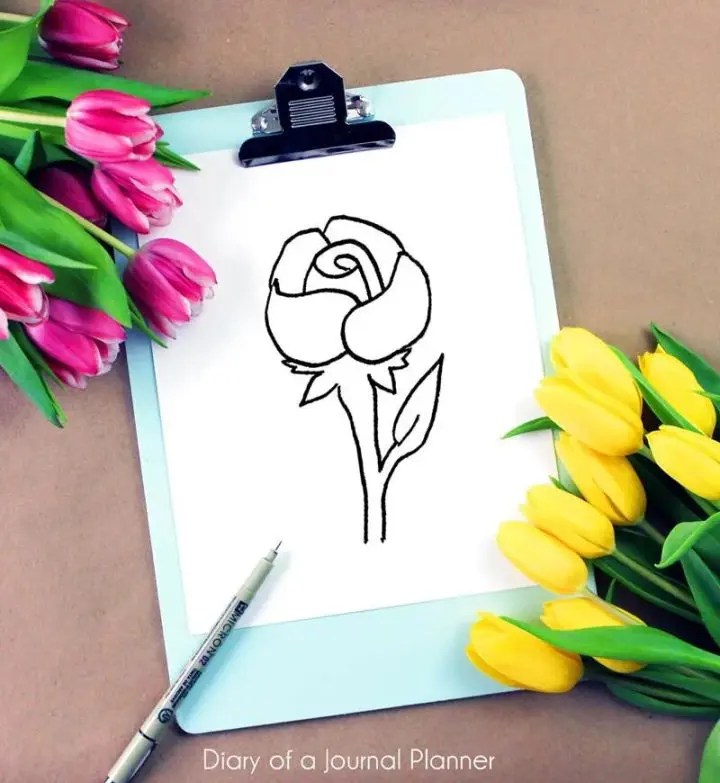 25 Easy Rose Drawing Ideas How to Draw a Rose