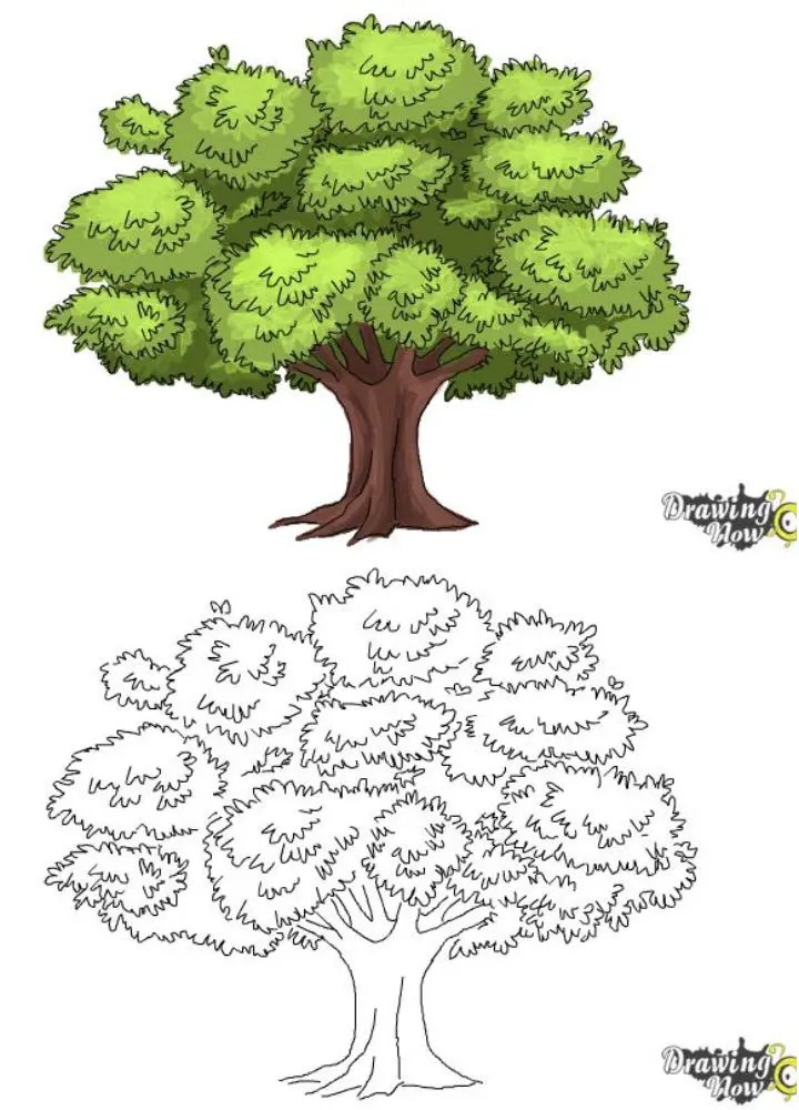 40 Easy Tree Drawing Ideas How To Draw A Tree (2023)