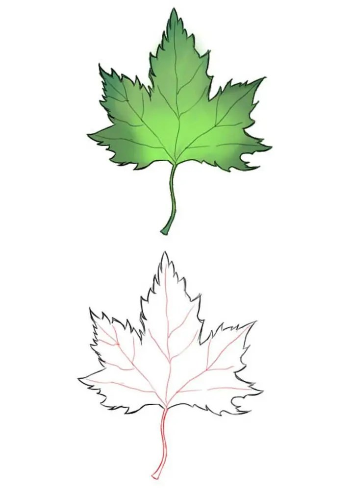 15 Easy Fall Leaf Drawing Ideas - Fall Leaves Drawing