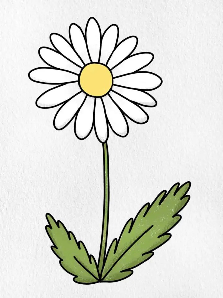 35 Easy Flower Drawing Ideas How to Draw a Flower (2023)