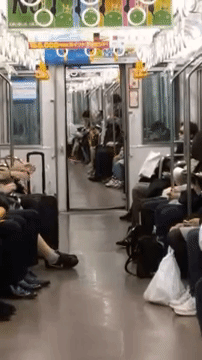 subway-align.gif?fit=202%2C360