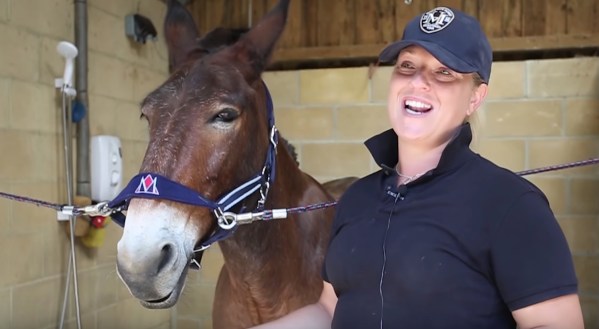 wallace-mule-01.jpeg?fit=600%2C329&ssl=1