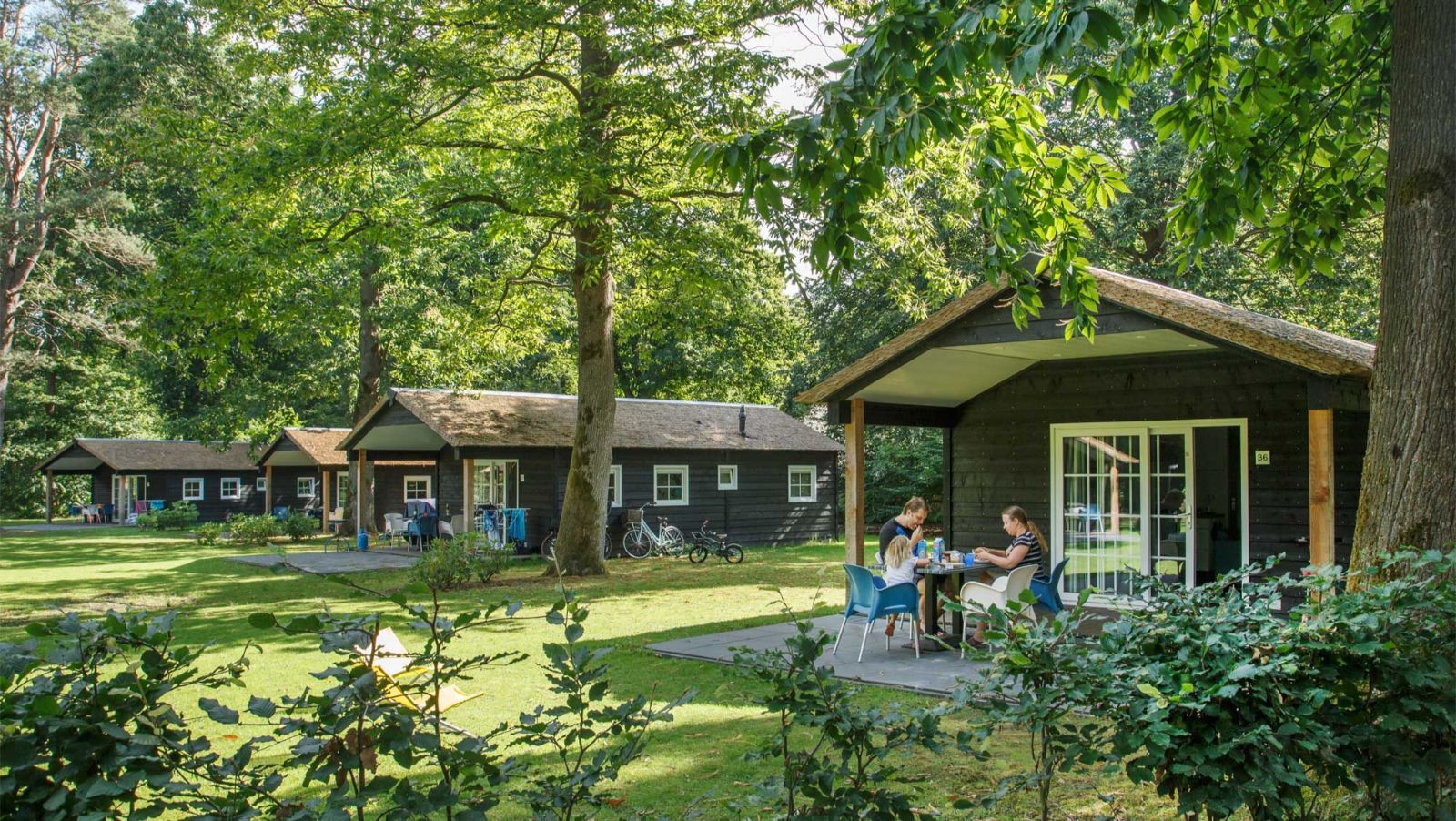 Molecaten Park De Leemkule In Hattem - Bungalowspecials