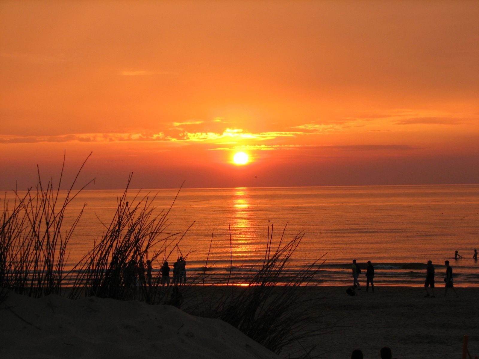 Vakantiepark De Krim Texel in De Cocksdorp BungalowSpecials