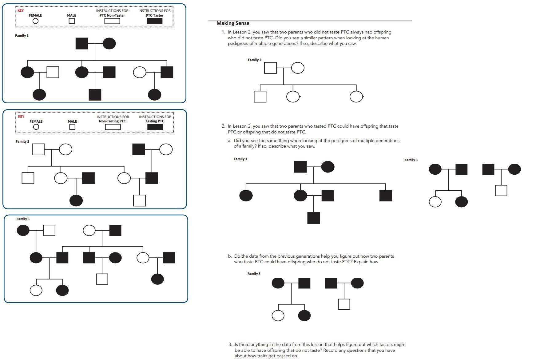 [FREE] Did you see the same thing when looking at pedigrees of multiple