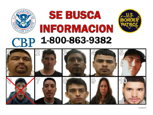 Another Border Patrol 'Top 10' Smuggler Busted