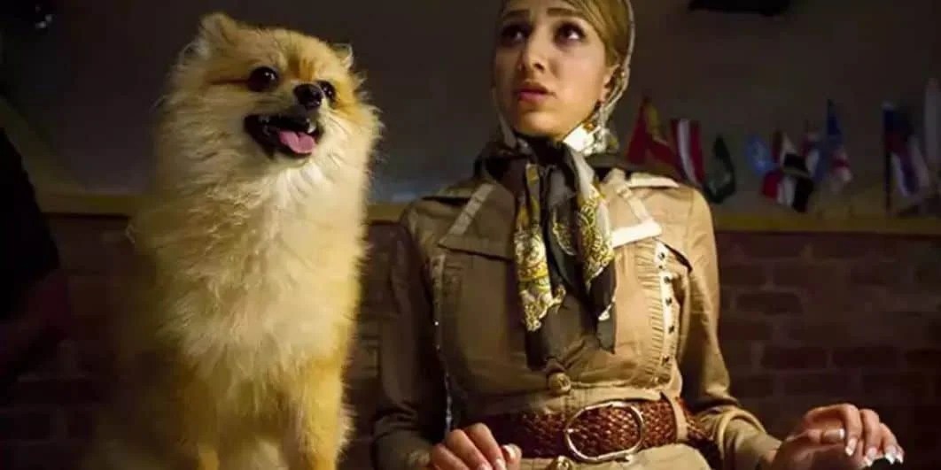 L'Iran confisque les chiens domestiques Business AM