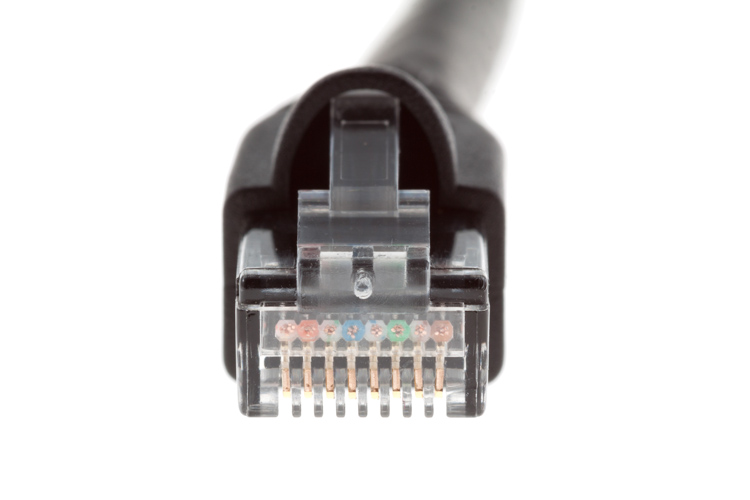 Cat6A Ethernet | 1 ft | Black | Booted | Free Shipping