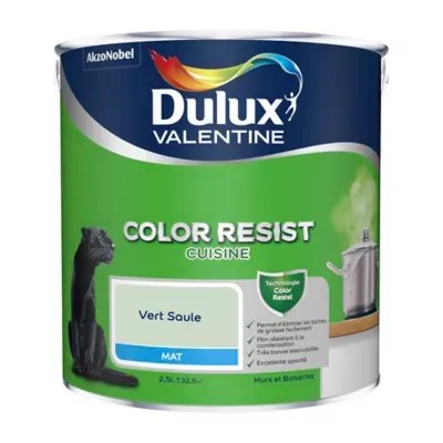 Peinture cuisine Dulux Valentine vert saule mat 2,5L