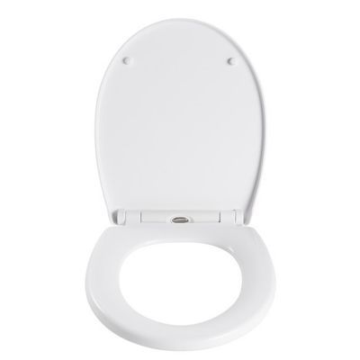 Les Restes Habile Parler Castorama Lunette Wc Lespeillasses Com