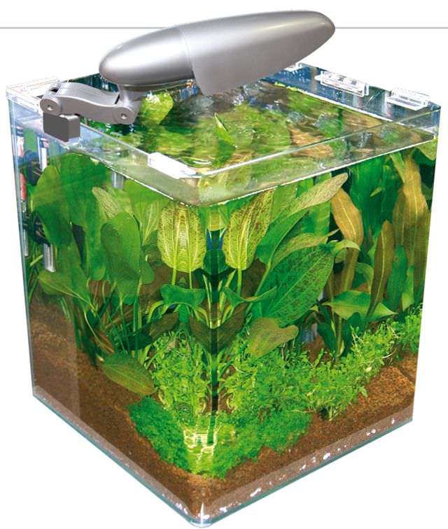 Nano Aquarium WAVE Box Cube 30 Cosmos tout équipé de 28L dimensions