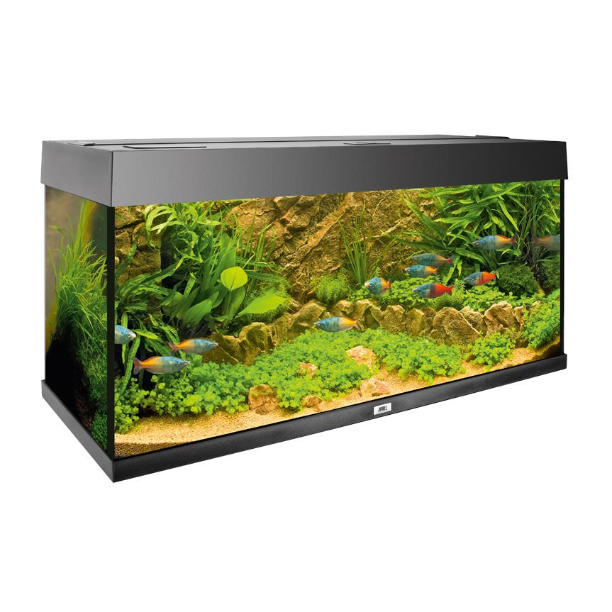 JUWEL Deco Stone Cliff Dark L reproduction de roche pour