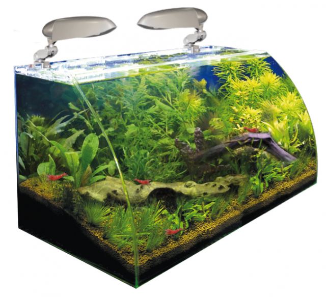 Nano Aquarium WAVE Box Vision 60 avec vitre avant courbé