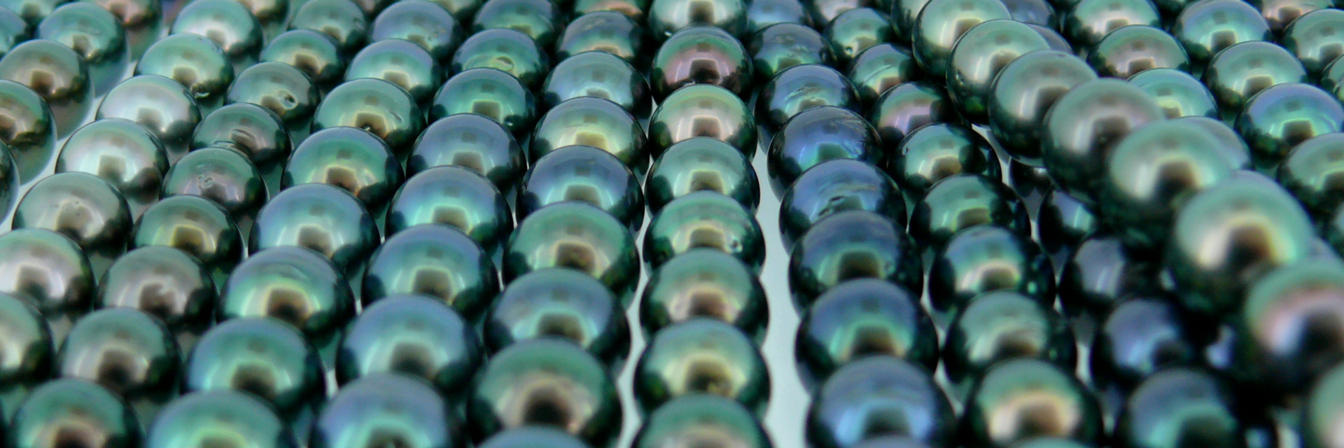 H. le Bar à perles de tahiti