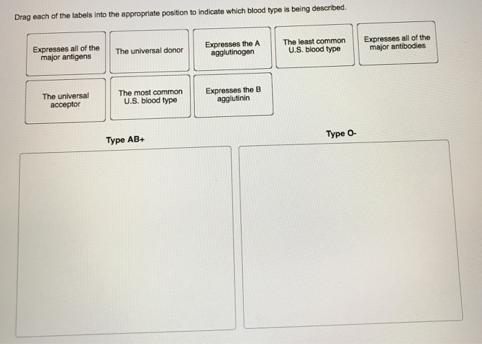 Solved Drag Each Of The Labels Into The Appropriate Posit...