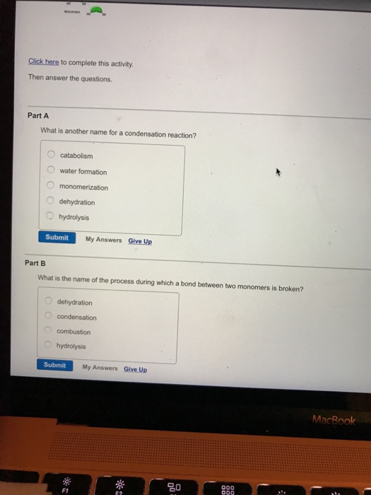 Solved Click Here To Complete This Activity. Then Answer The | Chegg.com